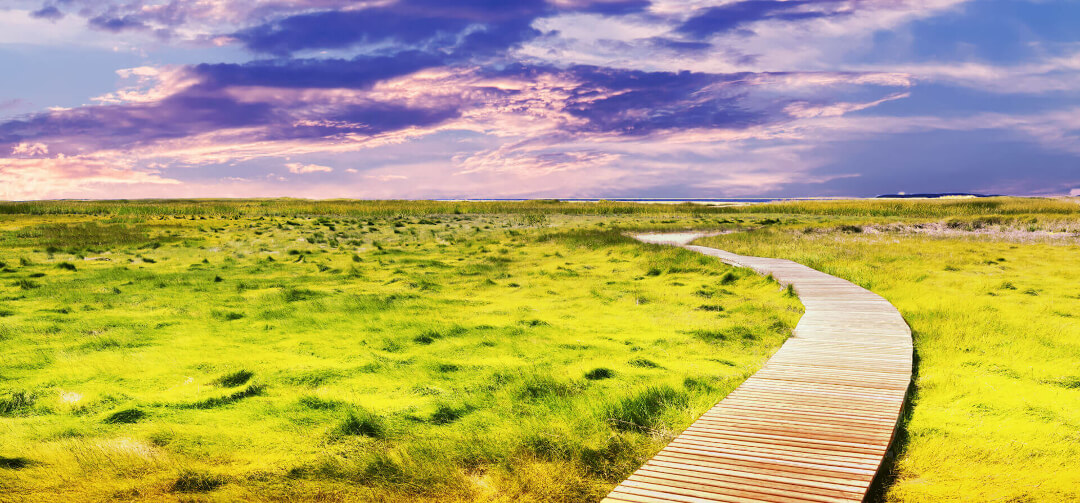 Ein befestigter Weg am Strand in atembraubender Umgebung 