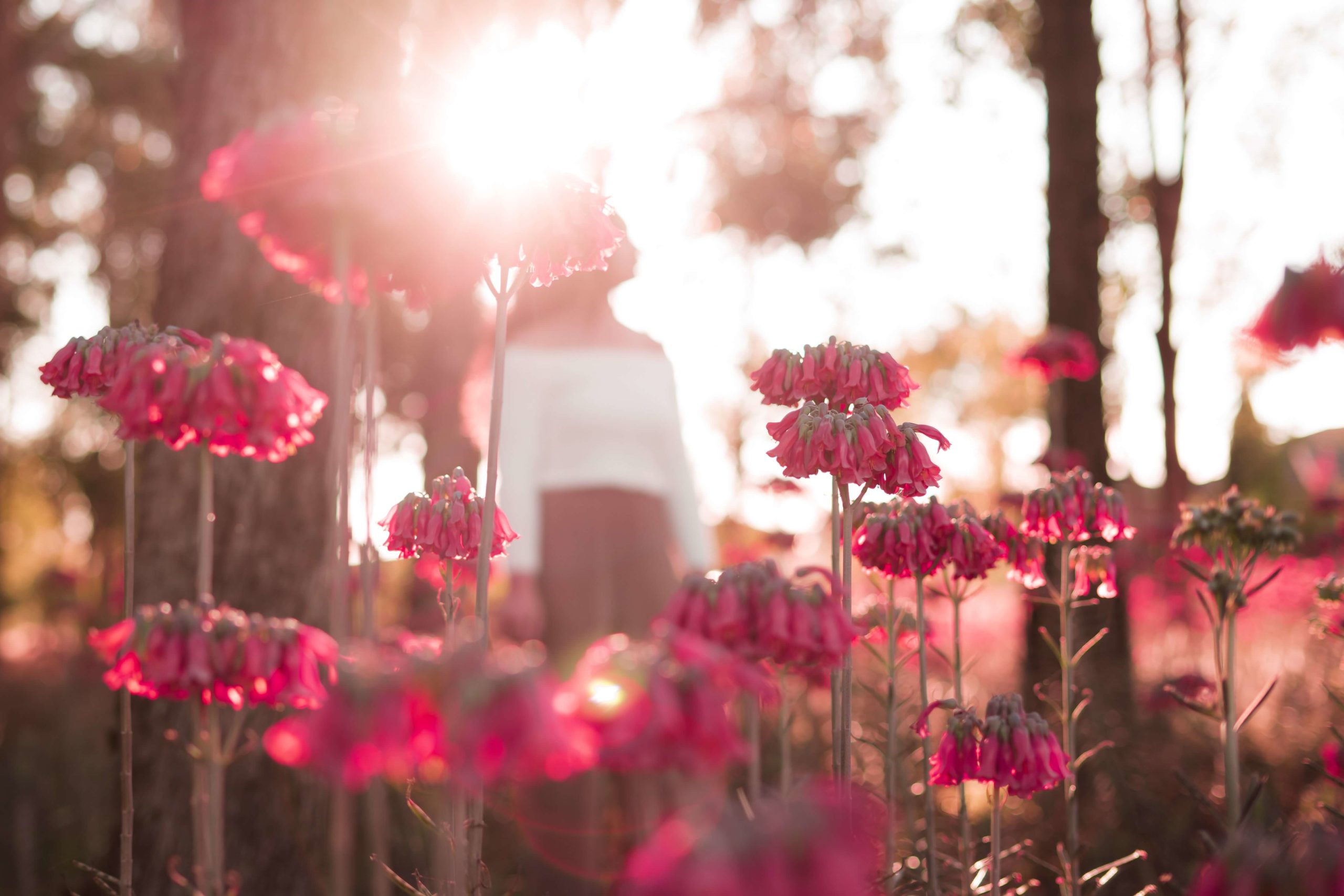 resolving grief