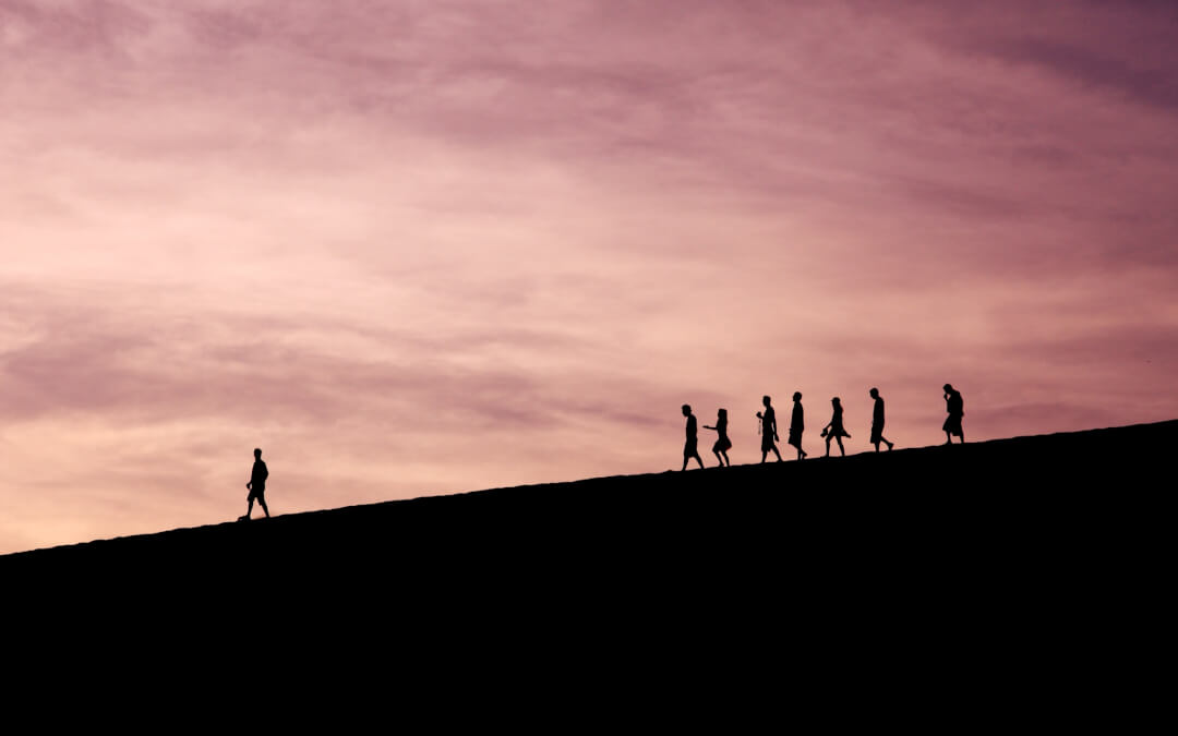 Neue NLP-Trainer