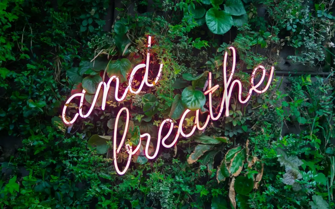 Körpertherapie & Breathwork-Workshop Berlin